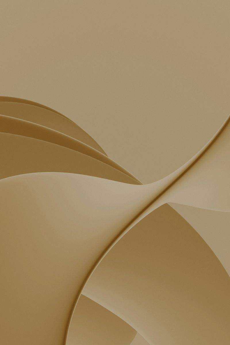 Winterpflege für Hunde: So bleibt das Fell gesund