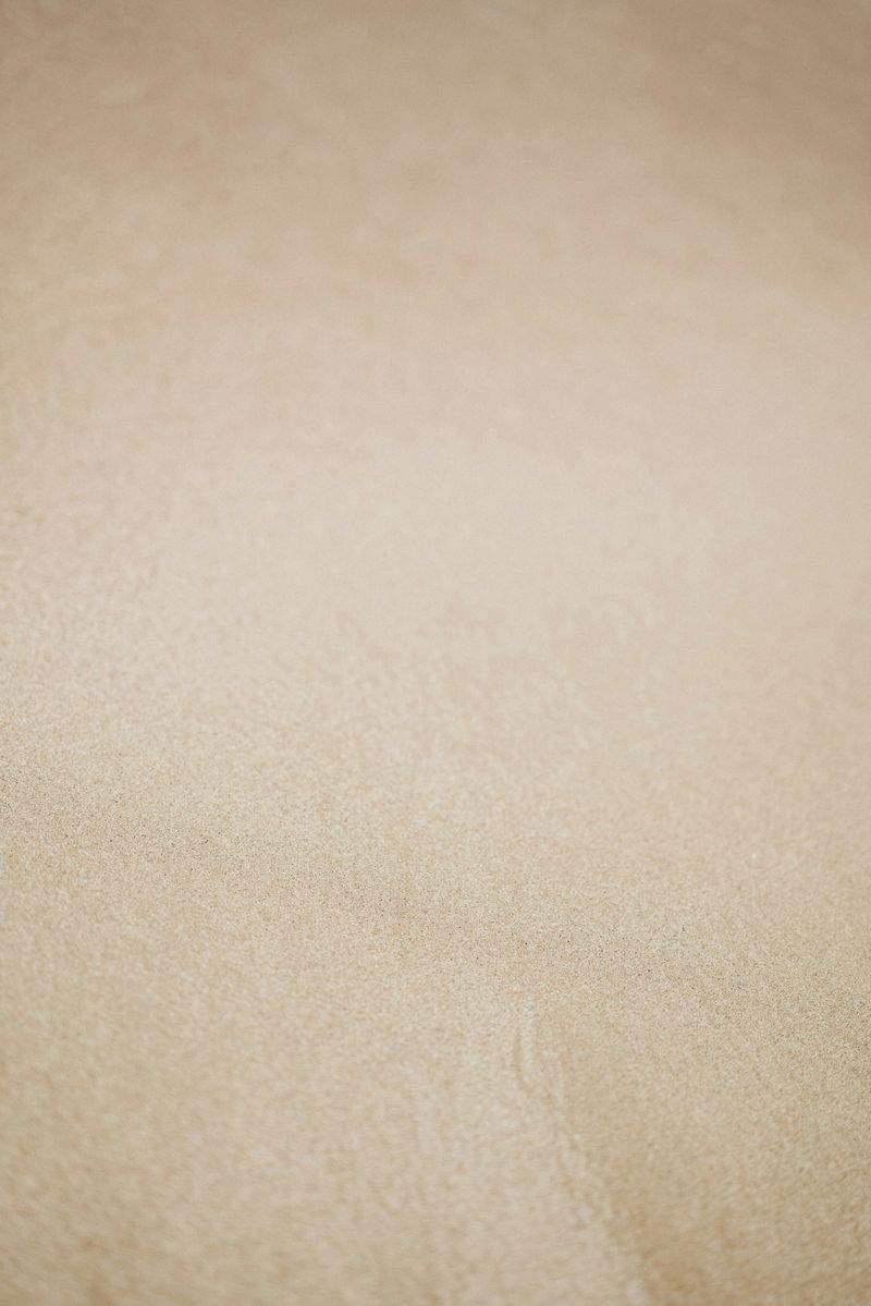 Tipps für den ersten Besuch beim Tierfriseur