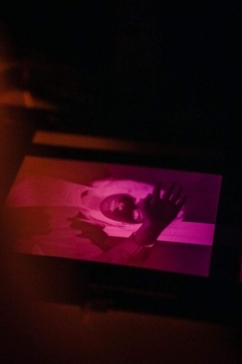 Fellfreunde Tierfriseur - Image 9